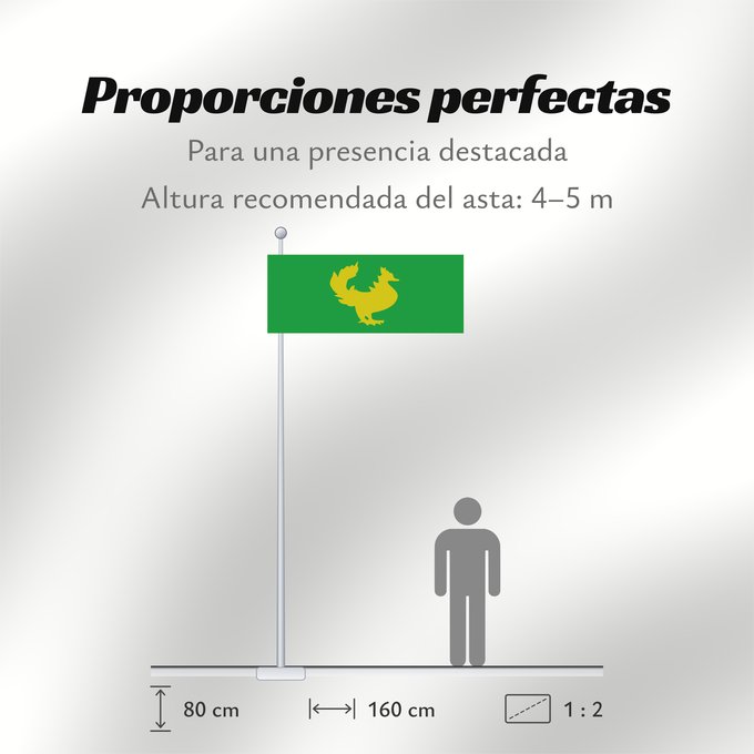 Proporciones de la bandera: Golden Hintar flag of Burma Historic flag of Burma-Myanmar from 1300 to 1500. The Golden Hintar