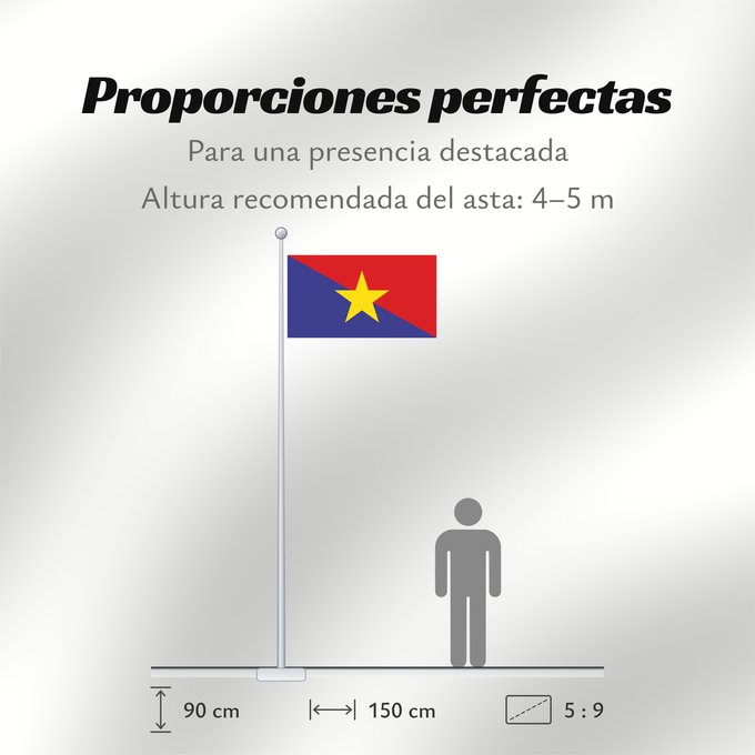 Proporciones de la bandera: Mm army 2