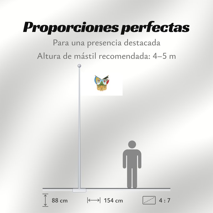 Proporciones de la bandera: Hidalgo hidalgo y fidalgo