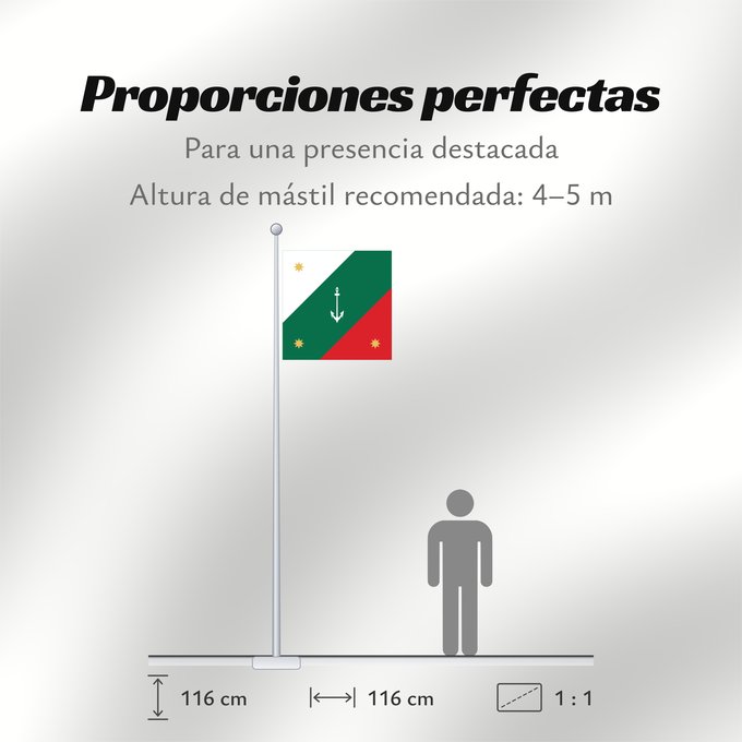 Proporciones de la bandera: Naval Jack of Mexico