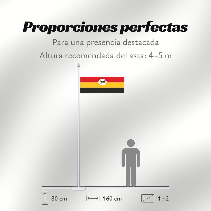 Proporciones de la bandera: Federated Malay States 1895 - 1946 Federated Malay States FMS 1895 - 1946
