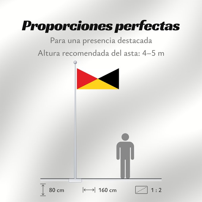 Proporciones de la bandera: Naval Ensign of the Federated Malay States