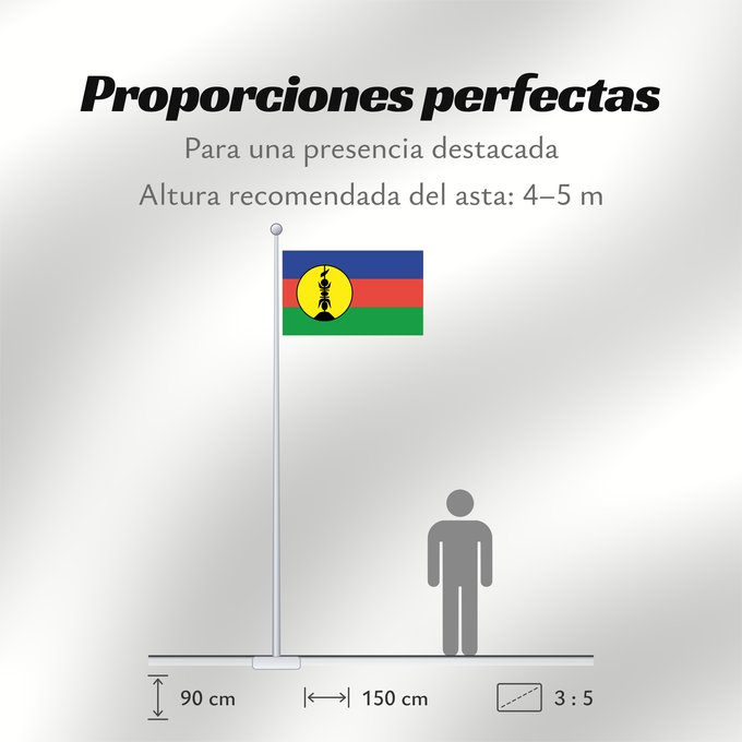 Proporciones de la bandera: FLNKS Kanak and Socialist National Liberation Front political party Front de libération nationale kanak et socialiste Colores Pantone http //www Neukaledonien Nuova Caledonia Front d Alliberament Nacional Canac Socialista