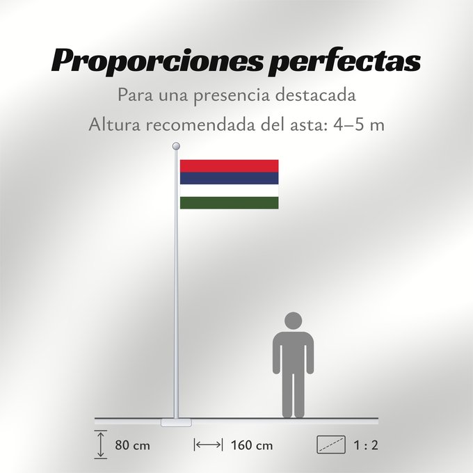 Proporciones de la bandera: Presidential Standard of Nigeria  Armed Forces	Presidential Standard of Nigeria (Armed Forces)	Étendard Présidentiel du Nigéria (Forces Armées)	Estandarte Presidencial de Nigeria (Fuerzas Armadas)	Präsidentenstandarte von Nigeria (Streitkräfte)	Stendardo 