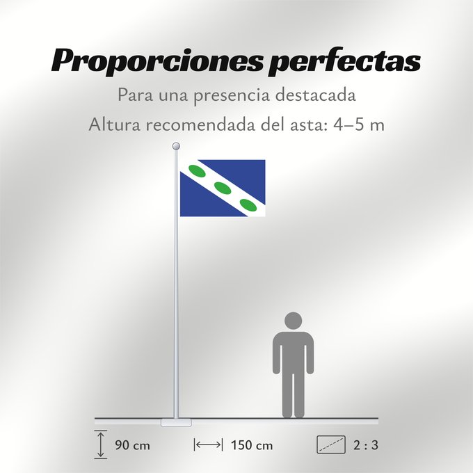 Proporciones de la bandera: Dreischor	Dreischor, a former Dutch municipality