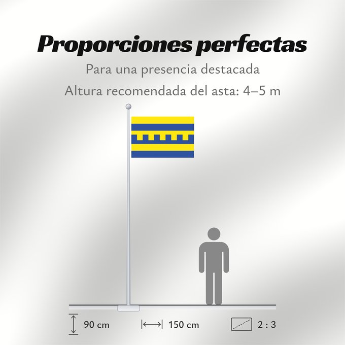 Proporciones de la bandera: Harderwijk Dutch municipality of Harderwijk