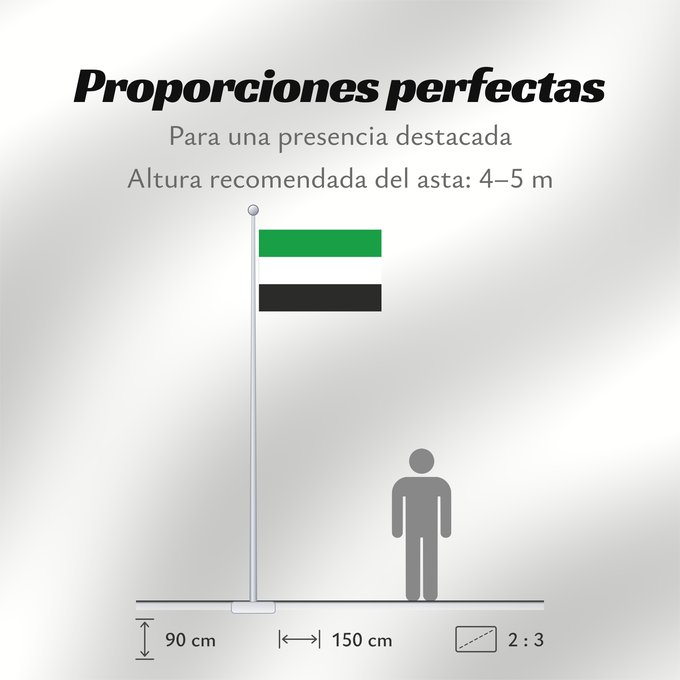Proporciones de la bandera: Leek	Leek, municipality in the Netherlands	Leek, gemeente in Nederland	Fan De Like, gemeente yn Nederlân