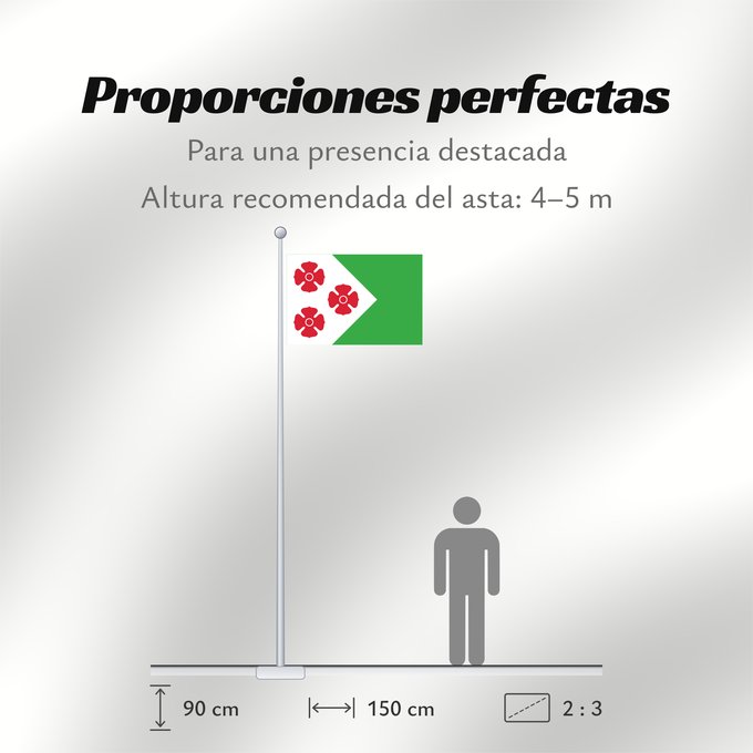 Proporciones de la bandera: Maasdonk Dutch municipality of Maasdonk