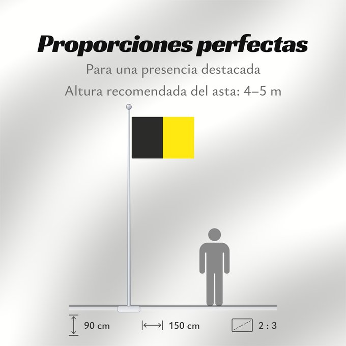 Proporciones de la bandera: Sneek Dutch town of Sneek