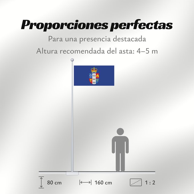 Proporciones de la bandera: Governor-General of New Zealand	New flag of the Governor-General of New Zealand	Gouverneur général de Nouvelle-Zélande - Drapeau	Gobernador General de Nueva Zelanda - Bandera	Generalgouverneur von Neuseeland - Flagge	Governatore Generale della Nuova Zelan