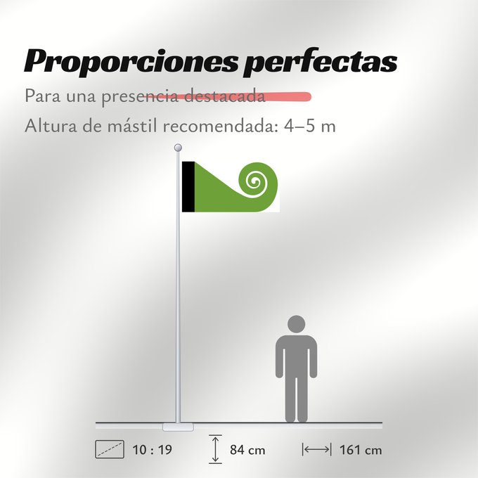Proporciones de la bandera: Koru This image shows the popular Koru Flag