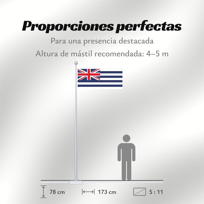 Proporciones de la bandera: Proposed flag of New Zealand 1834	A proposed New Zealand flag