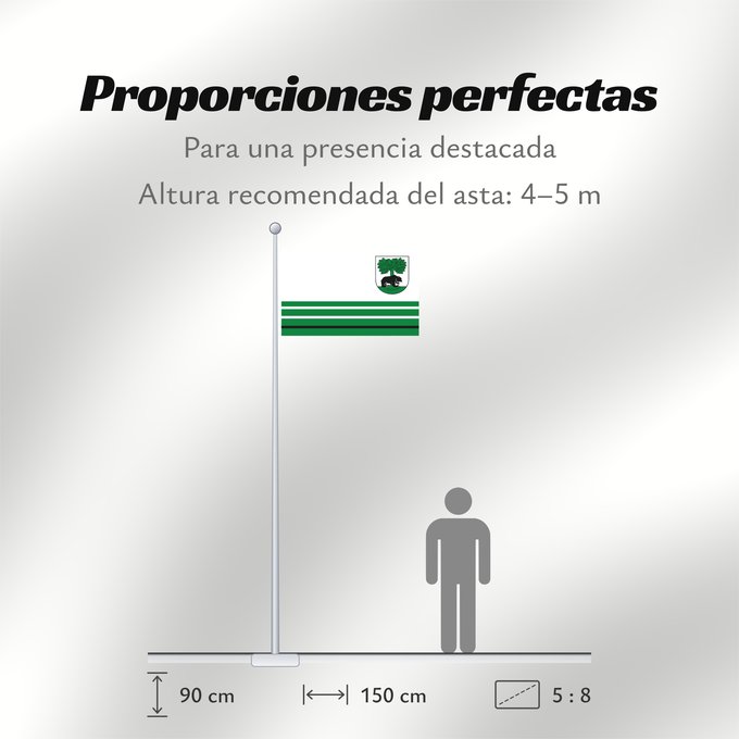 Proporciones de la bandera: POL Barwice Barwice Barwic