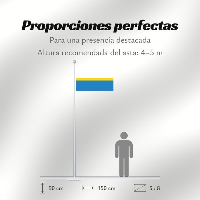 Proporciones de la bandera: POL Częstochowa
