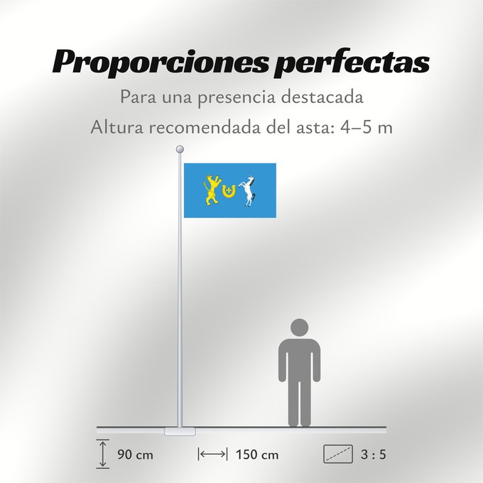 Proporciones de la bandera: POL gmina Bejsce	Commune of Bejsce and the village of Bejsce	Gminy Bejsce i wsi Bejsce