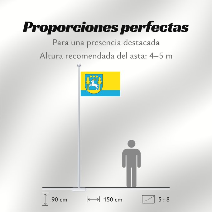 Proporciones de la bandera: POL gmina Domaszowice