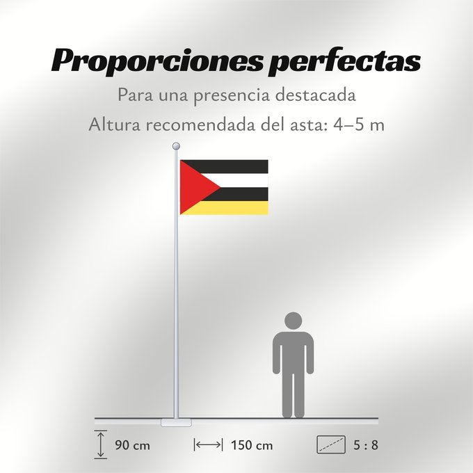 Proporciones de la bandera: POL gmina Perzów