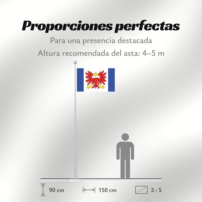 Proporciones de la bandera: POL gmina Rędziny