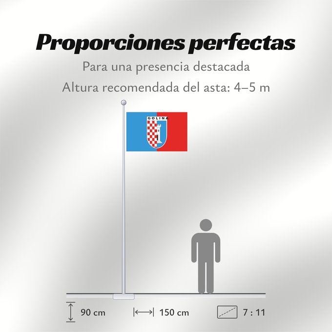 Proporciones de la bandera: POL Golina	Goliny