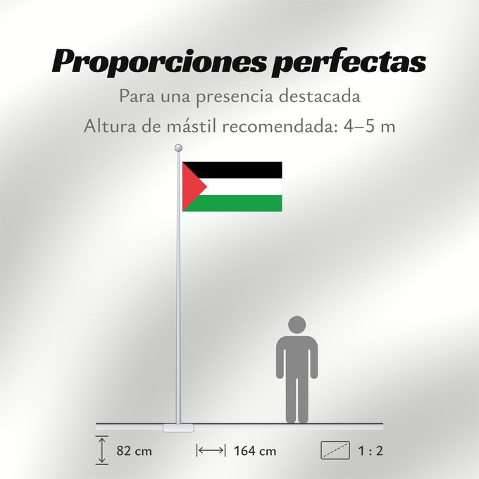 Proporciones de la bandera: Palestine - short triangle	A variant of the flag of Palestine used in different periods of its history	Palestine (variante triangle court)	Palestina (variante triángulo corto)	Palästina (kurze Dreiecksvariante)	Palestina (variante triangolo corto)