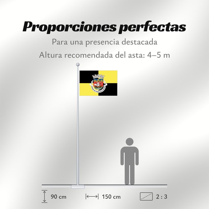 Proporciones de la bandera: Viana do Castelo