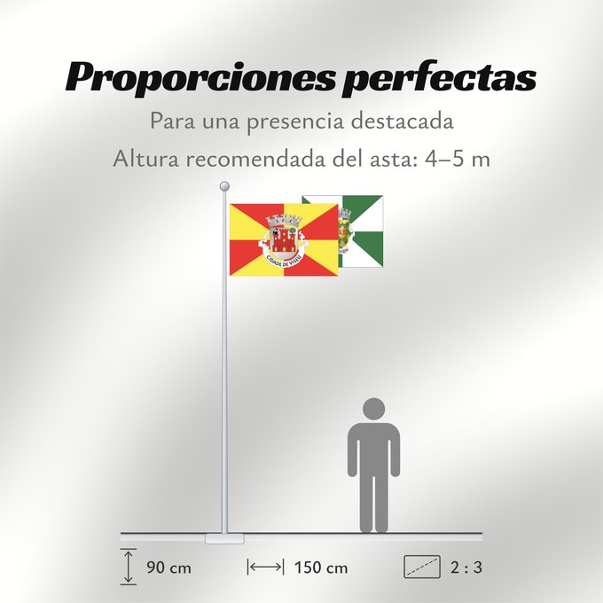 Proporciones de la bandera: Viseu