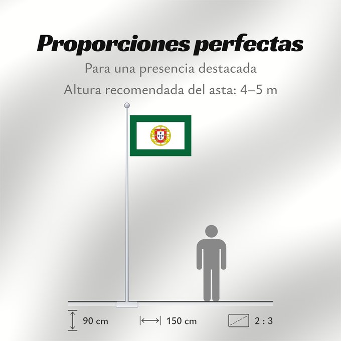Proporciones de la bandera: Portuguese Assembly of the Republic	Assembly of the Republic of Portugal	Assemblée de la République du Portugal	Asamblea de la República de Portugal	Assembleia da República Portuguesa	Assemblea della Repubblica Portoghese
