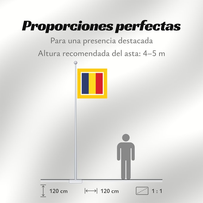 Proporciones de la bandera: Prime Minister of Romania Premier ministre de Roumanie Primer Ministro de Rumania Premierminister von Rumänien Primo Ministro della Romania