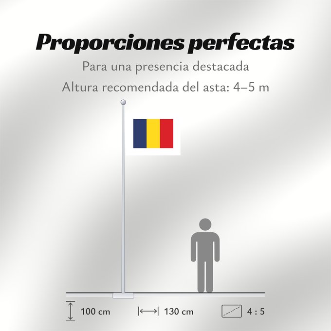 Proporciones de la bandera: Romanian Pilot	Pilote Roumain	Piloto Rumano	Rumänischer Pilot	Pilota Rumeno