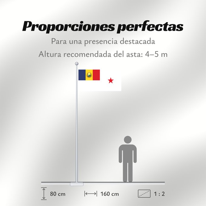 Proporciones de la bandera: Standard of a Minister of Romania  1952-1965	Minister of Romania (1952-1965)	Étendard d'un ministre de Roumanie (1952-1965)	Estandarte de un Ministro de Rumania (1952-1965)	Standarte eines Ministers von Rumänien (1952-1965)	Stendardo di un Ministro della 