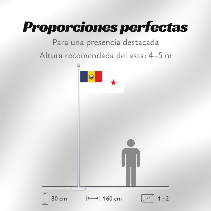 Proporciones de la bandera: Standard of a Minister of Romania 1965-1989 Minister of Romania (1965-1989) Étendard d'un ministre de Roumanie (1965-1989) Estandarte de un Ministro de Rumanía (1965-1989) Standard eines Ministers von Rumänien (1965-1989) Stendardo di un Ministro della R