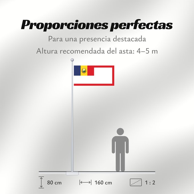 Proporciones de la bandera: Standard of the Presidium of Romania 1952-1965 Presidential Standard of Romania (1952-1965) Étendard de la Présidence de Roumanie (1952-1965) Estandarte de la Presidencia de Rumania (1952-1965) Standarte des Präsidiums von Rumänien (1952-1965) Stendardo