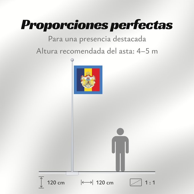 Proporciones de la bandera: Standard of the Regent of Romania 1927-1930 Standard of the Regent of Romania (1927-1930) Étendard du Régent de Roumanie (1927-1930) Estandarte del Regente de Rumanía (1927-1930) Standarte des Regenten von Rumänien (1927-1930) Stendardo del Reggente di R