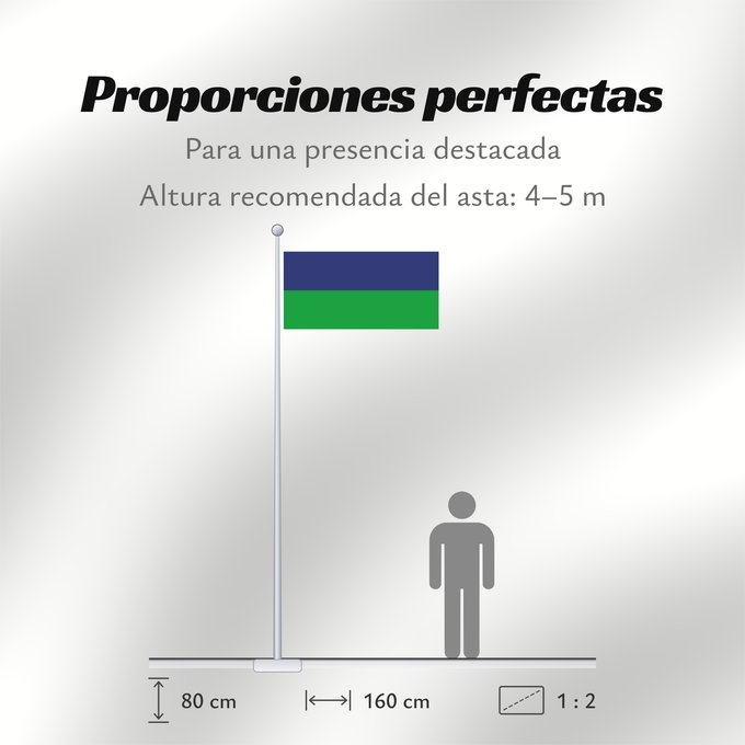 Proporciones de la bandera: Zemun, Serbia and Montenegro  2003–2005	Zemun (Serbia and Montenegro) (2003–2005)	Zemun (Serbie-et-Monténégro) (2003–2005)	Zemun (Serbia y Montenegro) (2003–2005)	Zemun (Serbien und Montenegro) (2003–2005)	Zemun (Serbia e Montenegro) (2003–2005)	Serbian m