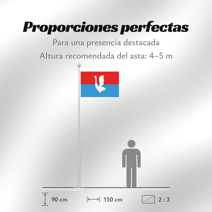 Proporciones de la bandera: Gus-Khrustalny  Vladimir Oblast	Gus-Khrustalny, Vladimir Region, Russia	Gous-Khroustalny (Oblast de Vladimir)	Gus-Jrustalni (Óblast de Vladímir)	Gus-Chrustalny ( Oblast Wladimir)	Gus-Chrustalnyj (Oblast' di Vladimir)	Флаг города Гусь-Хрустальный