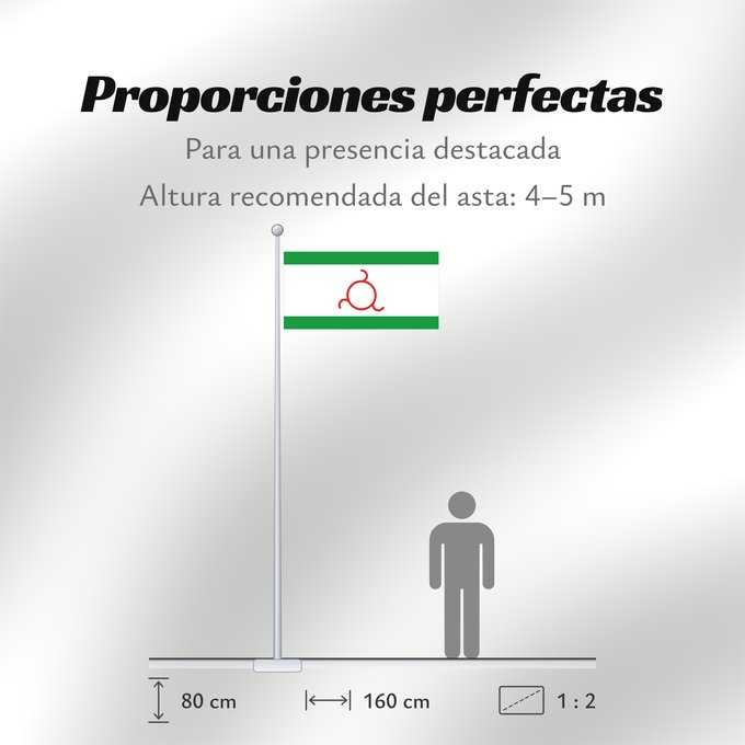 Proporciones de la bandera: Ingushetia 1994	Ingushetia (1994-1999)	Ingouchétie (1994-1999)	Ingusetia (1994-1999)	Inguschetien (1994-1999)	Inguscezia (1994-1999)	Флаг Республики Ингушетия 1994-1999, Россия