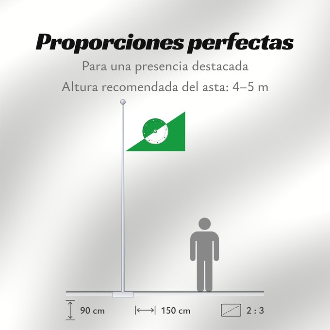 Proporciones de la bandera: Karasuk  Novosibirsk oblast	Karasuk, Novosibirsk Region, Russia	Karasuk	Флаг Карасука