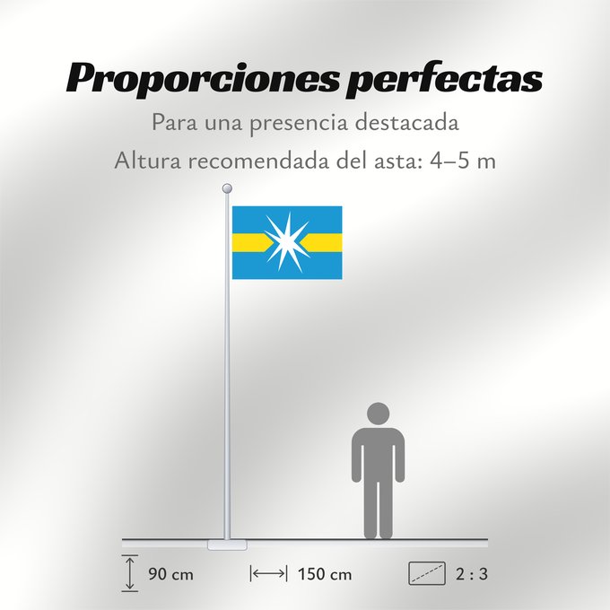 Proporciones de la bandera: Linyevo Novosibirsk oblast Linyevo, Novosibirsk Region, Russia Liniyevo Linyewo Флаг рабочего посёлка Линёво