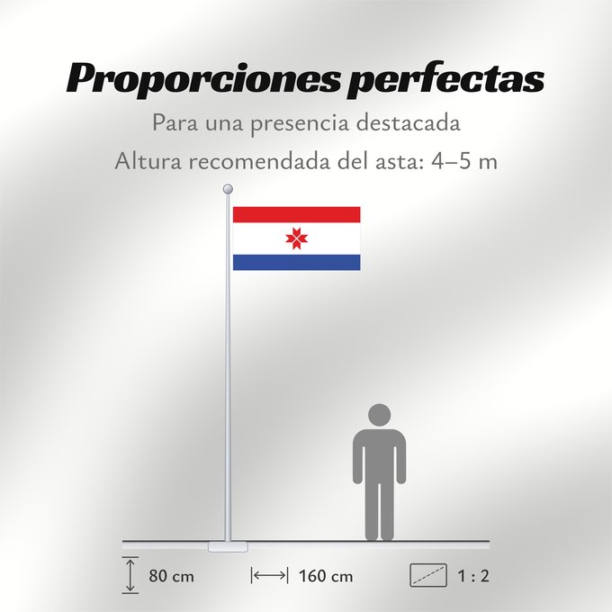Proporciones de la bandera: Mordovia  1995-2008	Mordovia (1995-2008)	Mordovie (1995-2008)	Mordwinien (1995-2008)