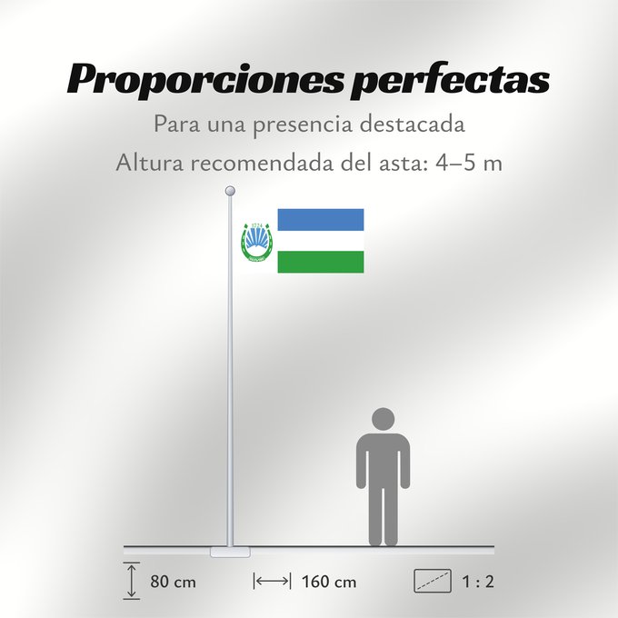 Proporciones de la bandera: Nalchik  2009	Nalchik	Naltchik	Nálchik	Naltschik (2009)	Nalchik (2009)	Naltšikin	Флаг Нальчика