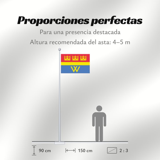Proporciones de la bandera: Vyborg	Wyborg	Viipurin	Выборг флаг