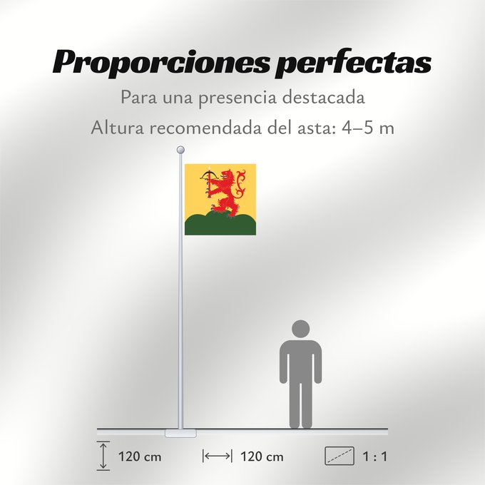Proporciones de la bandera: Kronobergs län vapenflagga	Kronoberg County in Sweden	Kronoberg	Provincia de Kronoberg	Kronobergs läns vapenflagga