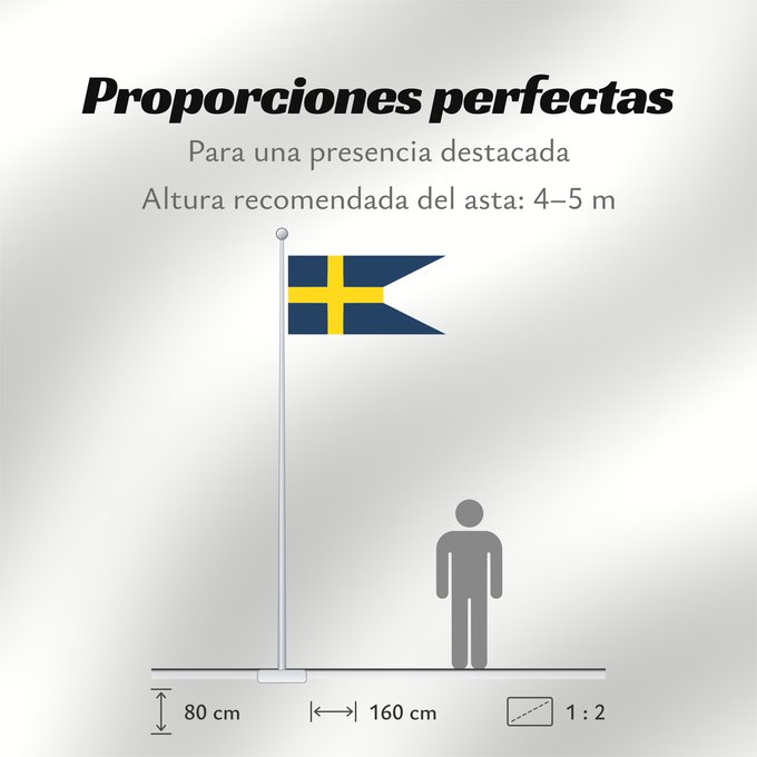 Proporciones de la bandera: Sweden 1562–1650 Swallow-tailed flag used between the reign of Gustav I of Sweden until c Suède (1562–1650) Suecia (1562–1650) Schweden (1562–1650) Svezia (1562–1650)