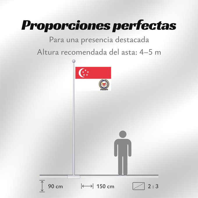 Proporciones de la bandera: Singapore Armed Forces