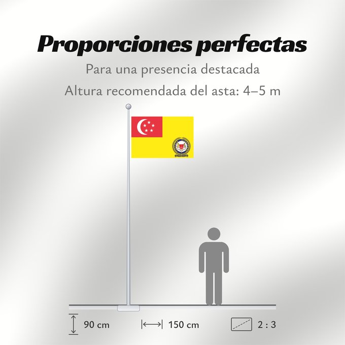 Proporciones de la bandera: Singapore Army Service