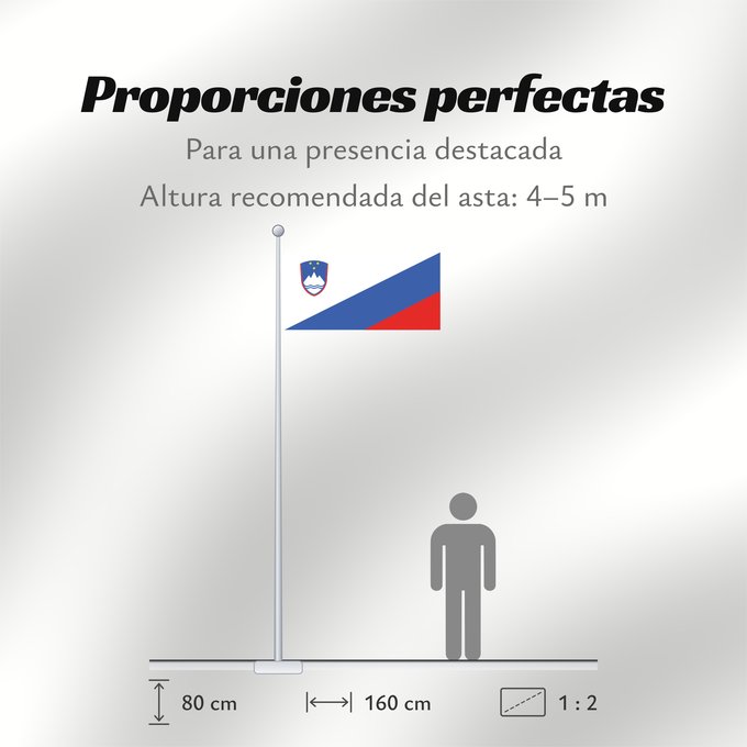Proporciones de la bandera: Slovenia Flag proposal	Proposed national flag of Slovenia  2003