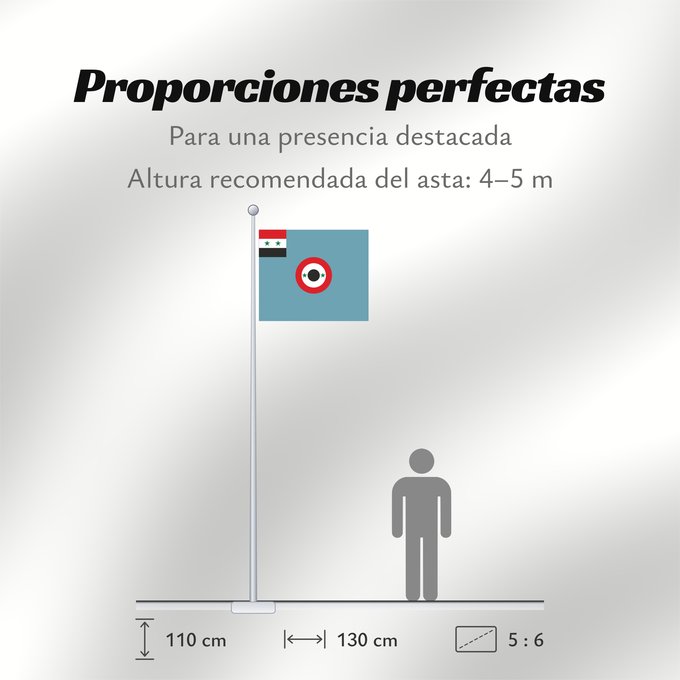 Proporciones de la bandera: Syrian Air Force Ensign