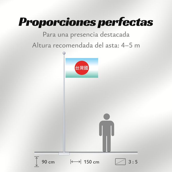 Proporciones de la bandera: 908台灣國運動