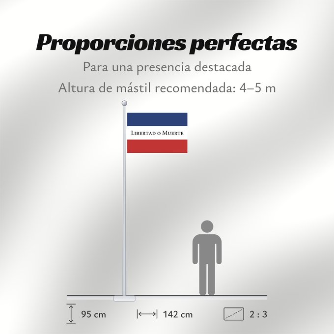 Proporciones de la bandera: Treinta y Tres	Treinta y Tres Orientales