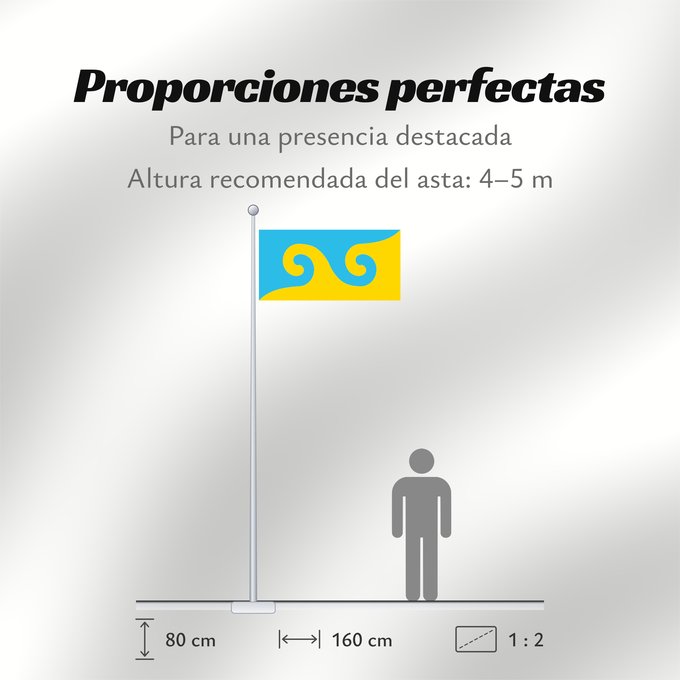 Proporciones de la bandera: Flagkarmapa Karmapa s Dream Karmapa Karmapa, el líder de la subescuela Karma Kagyu Namkhyen Gyaldar La bandera karmapa karmapa